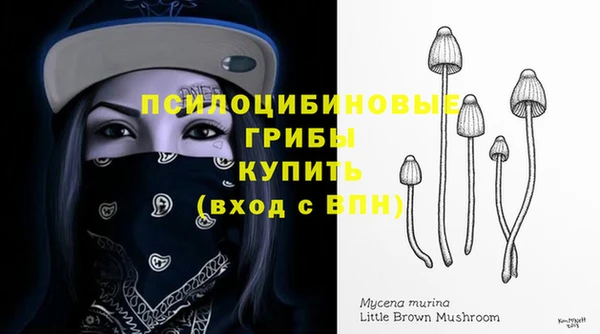 бошки Алзамай