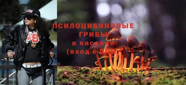 спиды Алексеевка