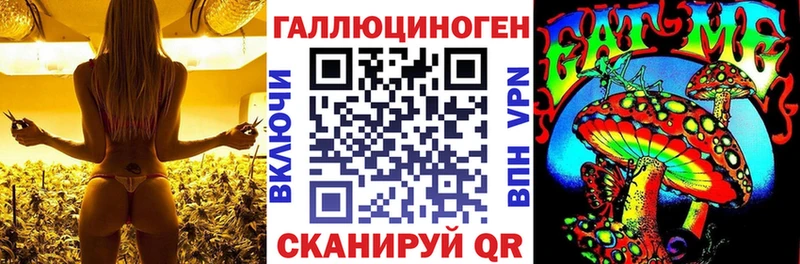 Галлюциногенные грибы Psilocybe  Нижние Серги 