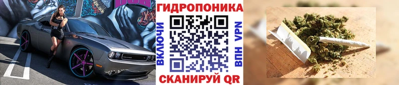 что такое Нижние Серги Шишки марихуана сатива